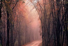 斯麦格冰箱客服服务维修电话交流۞夏天冰箱保鲜设置，这样调更科学省电