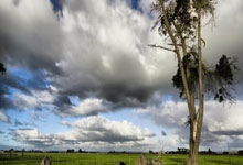 光芒燃气灶服务热线全国畅享详述=欧尔班败选，冯德莱恩紧急表态引关注